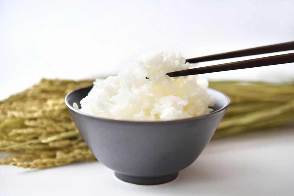 稲の前に茶碗に盛られた美味しそうな白いご飯を箸ですくっている